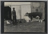 [Untitled] (Man and Animals in Barnyard)