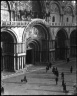 [Untitled] (Piazza San Marco, Venice)
