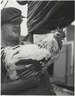 Man with Rooster, New York