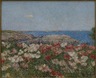 Poppies on the Isles of Shoals