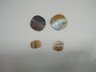 4 Dice for Mussel Shell Dice Game