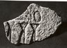 Fragment of Sunk Relief