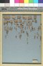 Papyrus Fragments Inscribed in Greek or Demotic