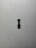 Amulet of Lungs and Windpipe