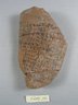 Demotic Ostracon