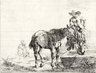 Two Horses at a Trough