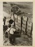 Child Labor, Cranberry Bog