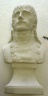 Bust of Napoleon