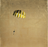 Yellow and Black Parachute