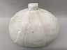 Bottle Vase
