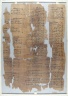 The Wilbour Papyrus