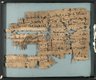 Papyrus Inscribed in Demotic