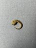 Small Loop Earring with Lion's Head