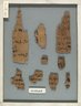 Papyrus Fragments Inscribed in Hieratic and Demotic