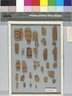 Papyrus Fragments Inscribed in Hieratic and Demotic