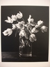 Untitled (Parrot tulips in glass vase)