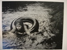 [Untitled] (Juanita Floating in Inner Tube)