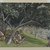 James Tissot (French, 1836-1902). <em>Nathaniel Under the Fig Tree (Nathanaël sous le figuier)</em>, 1886-1894. Opaque watercolor over graphite on gray wove paper, Image: 6 5/16 x 10 7/16 in. (16 x 26.5 cm). Brooklyn Museum, Purchased by public subscription, 00.159.59 (Photo: Brooklyn Museum, 00.159.59_PS2.jpg)