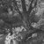 James Tissot (Nantes, France, 1836–1902, Chenecey-Buillon, France). <em>Jesus Went Out into a Desert Place (Jésus va dans un endroit désert)</em>, 1886-1896. Opaque watercolor over graphite on gray wove paper, Image: 6 5/16 x 10 7/16 in. (16 x 26.5 cm). Brooklyn Museum, Purchased by public subscription, 00.159.80 (Photo: Brooklyn Museum, 00.159.80_8x10_bw.jpg)