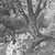 James Tissot (Nantes, France, 1836–1902, Chenecey-Buillon, France). <em>Jesus Went Out into a Desert Place (Jésus va dans un endroit désert)</em>, 1886-1896. Opaque watercolor over graphite on gray wove paper, Image: 6 5/16 x 10 7/16 in. (16 x 26.5 cm). Brooklyn Museum, Purchased by public subscription, 00.159.80 (Photo: Brooklyn Museum, 00.159.80_bw.jpg)