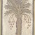 Roman. <em>Mosaic of Date Palm Tree</em>, 6th century C.E. Stone and mortar, With Frame: 1 3/8 x 34 5/8 x 74 3/16 in. (3.5 x 87.9 x 188.4 cm). Brooklyn Museum, Museum Collection Fund, 05.14. Creative Commons-BY (Photo: Brooklyn Museum, 05.14_detail_top.jpg)