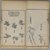  <em>Mustard Seed Garden, a Chinese Painter's Manual</em>, 1782. Woodblock printed book, ink and color on paper, Each: 11 3/4 x 6 13/16 x 3/16 in. (29.8 x 17.3 x 0.5 cm). Brooklyn Museum, Gift of Reverand J. J. Banbury, 05.583 (Photo: Brooklyn Museum, 05.583_vol2_2_PS1.jpg)
