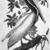 John James  Audubon (American, born Haiti, 1785-1851). <em>Brown Pelican</em>, 1861. Chromolithograph Brooklyn Museum, Gift of Seymour R. Husted Jr., 06.339.42 (Photo: Brooklyn Museum, 06.339.42_acetate_bw.jpg)