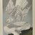 John James  Audubon (American, born Haiti, 1785-1851). <em>Iceland or Jer Falcon</em>, 1861. Chromolithograph Brooklyn Museum, Gift of Seymour R. Husted Jr., 06.339.97 (Photo: Brooklyn Museum, 06.339.97_PS1.jpg)