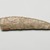  <em>Knife Blade</em>, ca. 3800-3500 B.C.E. Flint, 1 7/16 x 3/8 x 6 1/8 in. (3.7 x 0.9 x 15.6 cm). Brooklyn Museum, Charles Edwin Wilbour Fund, 07.447.802. Creative Commons-BY (Photo: Brooklyn Museum, 07.447.802_front_PS2.jpg)