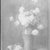 Emily Maria Scott (Spafard) (American, 1832-1915). <em>Tea Roses</em>, 19th century. Watercolor, 36 x 28 in. (91.4 x 71.1 cm). Brooklyn Museum, Gift of friends of the artist, 09.848 (Photo: Brooklyn Museum, 09.848_glass_bw.jpg)