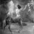 John La Farge (American, 1835-1910). <em>Centauress</em>, 1887. Oil on canvas, 41 15/16 x 35 1/4 in. (106.6 x 89.5 cm). Brooklyn Museum, Augustus Graham School of Design Fund, 11.511 (Photo: Brooklyn Museum, 11.511_glass_bw.jpg)