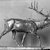 Alexander Phimister Proctor (American, 1862-1950). <em>Elk</em>, 1899. Bronze, 16 1/2 x 20 x 7 1/2 in. (41.9 x 50.8 x 19.1 cm). Brooklyn Museum, Gift of George D. Pratt, 12.897. Creative Commons-BY (Photo: Brooklyn Museum, 12.897_glass_bw.jpg)