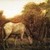 Albert Pinkham Ryder (American, 1847-1917). <em>The Grazing Horse</em>, mid 1870s. Oil on canvas, 10 3/16 x 14 1/8 in. (25.8 x 35.8 cm). Brooklyn Museum, Augustus Graham School of Design Fund, 14.554 (Photo: Brooklyn Museum, 14.554_transp200.jpg)