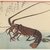Utagawa Hiroshige (Ando) (Japanese, 1797-1858). <em>Crayfish and Two Shrimps</em>, ca. 1840. Woodblock color print, 9 3/4 x 14 5/16 in. (24.8 x 36.3 cm). Brooklyn Museum, Museum Collection Fund, 16.524 (Photo: Brooklyn Museum, 16.524_IMLS_PS3.jpg)