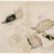 Totoya Hokkei (Japanese, 1780-1850). <em>Tortoises Swimming among Marine Plants</em>, 19th century. Color woodblock print on paper, 9 5/8 x 14 15/16 in. (24.4 x 38 cm). Brooklyn Museum, Museum Collection Fund, 16.549 (Photo: Brooklyn Museum, 16.549_IMLS_SL2.jpg)