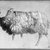 Albert Bierstadt (American, born Germany, 1830-1902). <em>Study of a Ewe</em>, ca. 1855. Black crayon and red and white chalk on blue-green, medium-weight, slightly textured laid paper., Sheet: 10 9/16 x 14 1/16 in. (26.8 x 35.7 cm). Brooklyn Museum, Purchased with funds given by Mr. and Mrs. Leonard L. Milberg, 1990.101.2 (Photo: Brooklyn Museum, 1990.101.2_bw_IMLS.jpg)