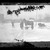 George Bradford Brainerd (American, 1845-1887). <em>A Breakdown, Brooklyn</em>, ca. 1872-1887. Dry negative plate Brooklyn Museum, Brooklyn Museum/Brooklyn Public Library, Brooklyn Collection, 1996.164.2-2238 (Photo: Brooklyn Museum, 1996.164.2-2238_glass_IMLS_SL2.jpg)