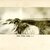 George Bradford Brainerd (American, 1845–1887). <em>Sagg Pond, Sagg, Long Island</em>, ca. 1872–1887. Collodion silver glass wet plate negative Brooklyn Museum, Brooklyn Museum/Brooklyn Public Library, Brooklyn Collection, 1996.164.2-552 (Photo: Brooklyn Museum, 1996.164.2-552_print.jpg)