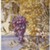 Henry Roderick Newman (American, 1843-1917). <em>Grapes and Olives</em>, 1878. Watercolor with selectively applied glaze over graphite pencil on moderately thick rough-textured wove paper, 26 x 18 13/16 in. (66 x 47.8 cm). Brooklyn Museum, Purchased with funds given by Sol Schreiber in memory of Rose Schreiber, and with funds given by Joanne and Eugene Witty, Dick S. Ramsay Fund and Designated Purchase Fund, 1996.90.2 (Photo: Brooklyn Museum, 1996.90.2_SL1.jpg)
