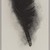 Karen McCready. <em>Great Blue Heron</em>, 1996. Softground etching, spit bite aquatint, Sheet: 7 1/2 x 5 1/8 in. (19.1 x 13 cm). Brooklyn Museum, Alfred T. White Fund, 1997.12.1. © artist or artist's estate (Photo: Brooklyn Museum, 1997.12.1_PS11.jpg)