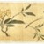 Chen Jiayan (Chinese, 1539-1623 or later). <em>One Hundred Flowers</em>, dated 1629. Color on silk, 10 x 10 3/8in. (25.4 x 26.4cm). Brooklyn Museum, Gift of the C. C. Wang Family Collection, 1997.185.18 (Photo: Brooklyn Museum, 1997.185.18.06_SL1.jpg)