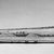 Alaska Native. <em>Engraved Tusk</em>, late 19th century. Walrus tusk, black ash or graphite, oil, 14 13/16 x 2 5/16 in. (37.6 x 5.9 cm). Brooklyn Museum, Gift of Robert B. Woodward, 20.894. Creative Commons-BY (Photo: Brooklyn Museum, 20.894_view2_acetate_bw.jpg)