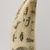 Alaska Native. <em>Engraved Whale Tooth</em>, late 19th century. Sperm whale tooth, black ash or graphite, oil, 6 1/2 x 3 x 2 in. (16.5 x 7.6 x 5.1 cm). Brooklyn Museum, Gift of Robert B. Woodward, 20.895. Creative Commons-BY (Photo: Brooklyn Museum, 20.895_overall02_PS22.jpg)