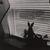Gerard Vezzuso (American, born 1943). <em>View from Window with Rabbit, Bayville, NJ</em>, 2000. Gelatin silver print, sheet: 20 7/8 x 24 7/8 in.  (53.0 x 62.9  cm). Brooklyn Museum, Gift of the artist, 2000.122.6. © artist or artist's estate (Photo: , 2000.122.6_PS9.jpg)