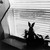 Gerard Vezzuso (American, born 1943). <em>View from Window with Rabbit, Bayville, NJ</em>, 2000. Gelatin silver print, sheet: 20 7/8 x 24 7/8 in.  (53.0 x 62.9  cm). Brooklyn Museum, Gift of the artist, 2000.122.6. © artist or artist's estate (Photo: Brooklyn Museum, 2000.122.6_bw.jpg)