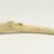 Bobby Qajuurtaq Tarkirk (Canadian, Inuit, 1934-2000). <em>Fish Form on an Antler</em>, 1950-1980. Antler, 3/4 x 6 3/4 x 1 5/8 in. (1.9 x 17.1 x 4.1 cm). Brooklyn Museum, Hilda and Al Schein Collection, 2004.79.51. Creative Commons-BY (Photo: Brooklyn Museum, 2004.79.51_back_PS11.jpg)
