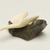 Inuit. <em>Loon on a Rock</em>, 1950-1980. Ivory, gray stone, 1 1/2 x 2 1/2 x 2 5/8 in. (3.8 x 6.4 x 6.7 cm). Brooklyn Museum, Hilda and Al Schein Collection, 2004.79.61. Creative Commons-BY (Photo: Brooklyn Museum, 2004.79.61_view02_PS11.jpg)
