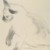 Stefan Hirsch (American, born Germany, 1899-1964). <em>Siamese Cat</em>, ca. 1940. Charcoal on cream, thin, smooth wove paper, Sheet: 17 x 14 in. (43.2 x 35.6 cm). Brooklyn Museum, Gift of Janis Conner and Joel Rosenkranz, 2008.69. © artist or artist's estate (Photo: Brooklyn Museum, 2008.69_PS6.jpg)