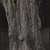 Stephen Shore (American, born 1947). <em>Annandale-on-Hudson, New York</em>, 1995. Gelatin silver photograph, 10 × 8 in. (25.4 × 20.3 cm). Brooklyn Museum, Gift of The Carol and Arthur Goldberg Collection, 2016.18.11. © artist or artist's estate (Photo: Brooklyn Museum, 2016.18.11_PS9.jpg)