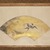 Shikibu Terutada (Japanese, late 15th – 16th century). <em>Swallow and Willow</em>, mid 16th century. Fan mounted as a hanging scroll; ink, pigment and gold on paper, image (fan only): 7 3/4 × 19 11/16 in. (19.7 × 50 cm). Brooklyn Museum, Gift of Rosemarie and Leighton R. Longhi
, 2022.30 (Photo: Brooklyn Museum, 2022.30_detail_PS11.jpg)